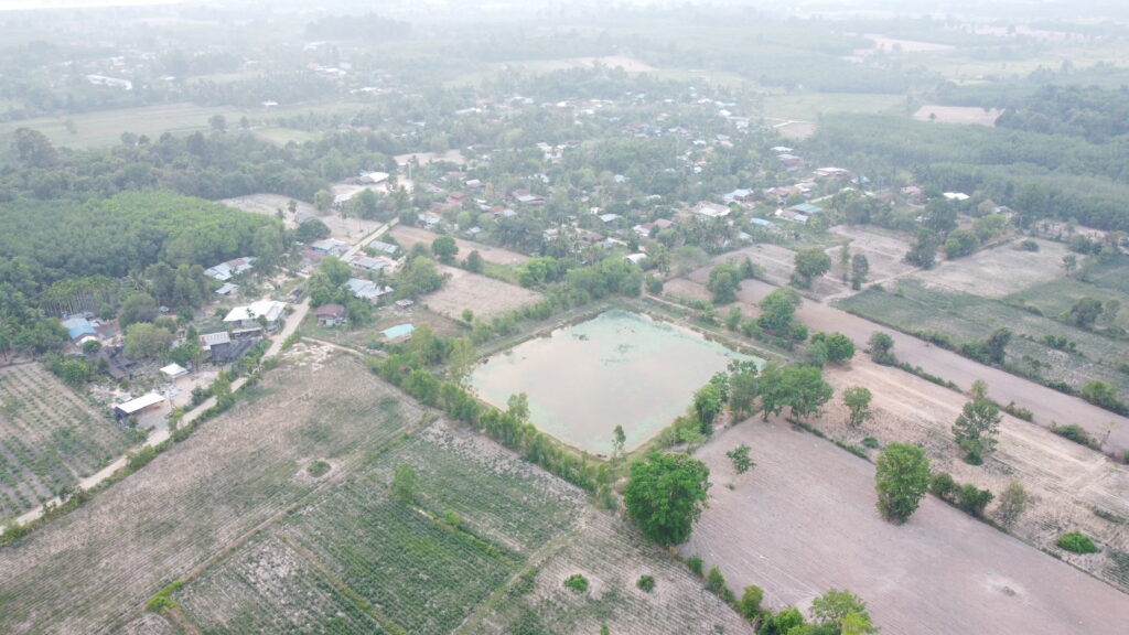 หนองปะอูง